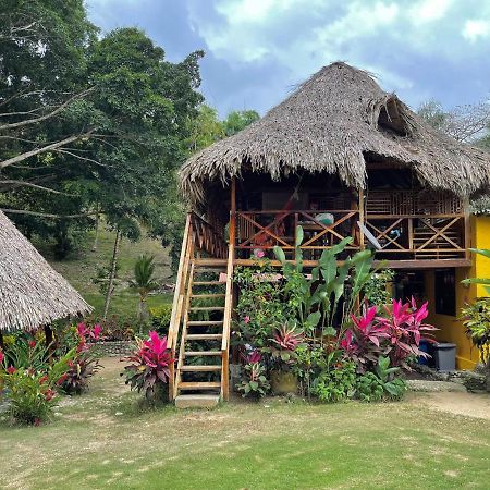 Ecohostal Palmares Del Rio Guachaca Exterior photo