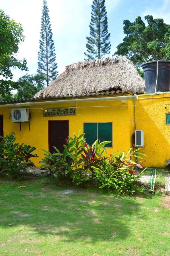 Ecohostal Palmares Del Rio Guachaca Exterior photo