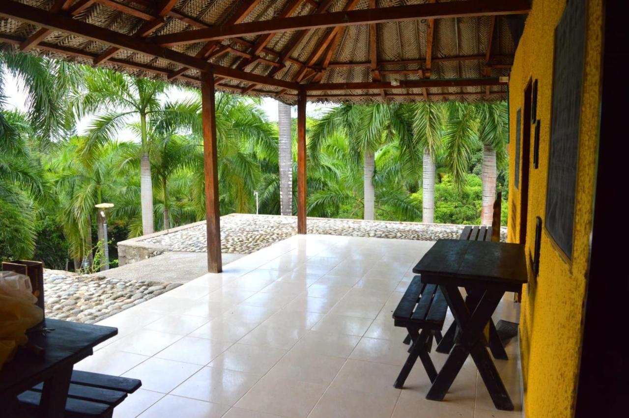 Ecohostal Palmares Del Rio Guachaca Exterior photo