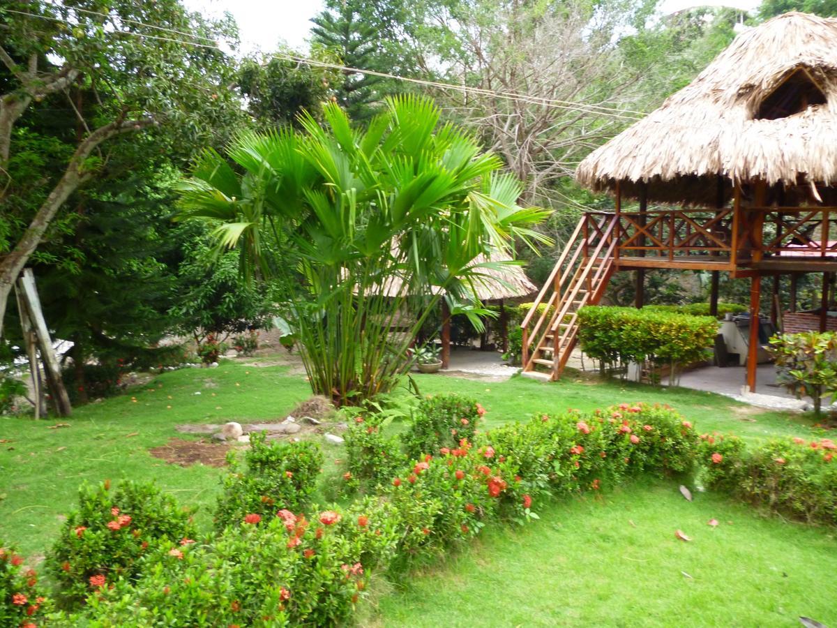 Ecohostal Palmares Del Rio Guachaca Exterior photo