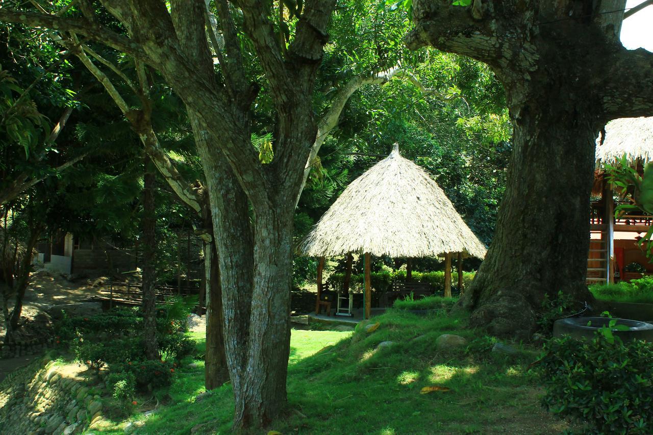 Ecohostal Palmares Del Rio Guachaca Exterior photo